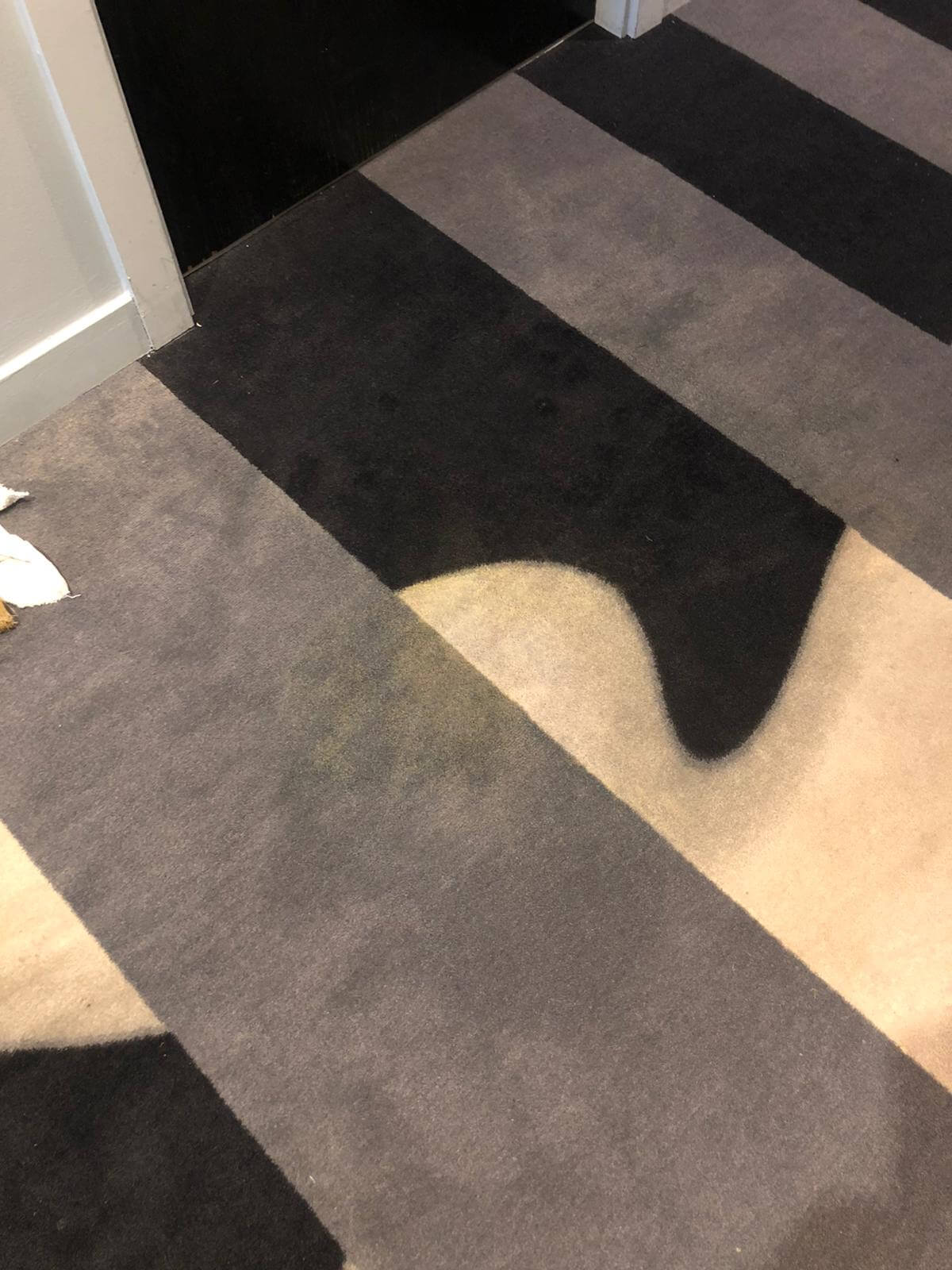 bleech spot repair carpets rugs 20