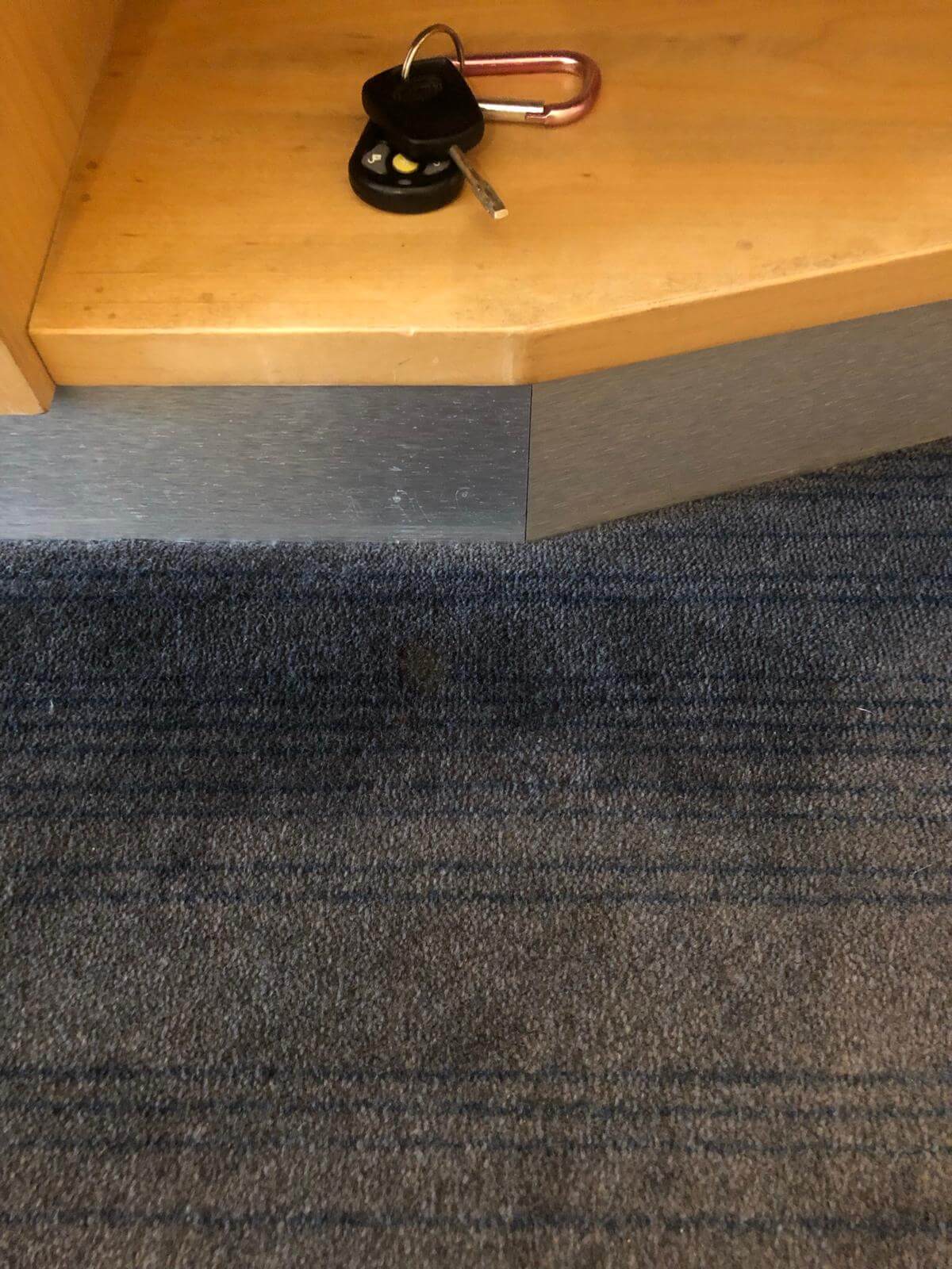 bleech spot repair carpets rugs 24